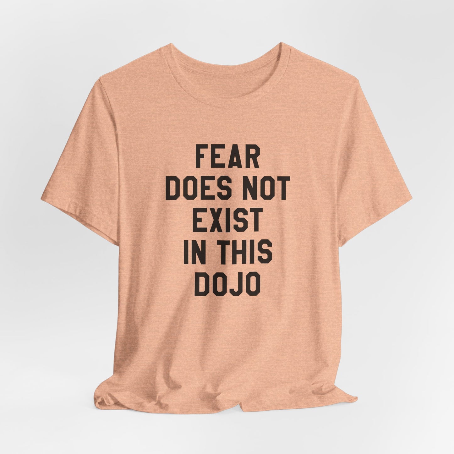 Fear Does Not Exist in This Dojo Karate Kid/Cobra Kai T-Shirt