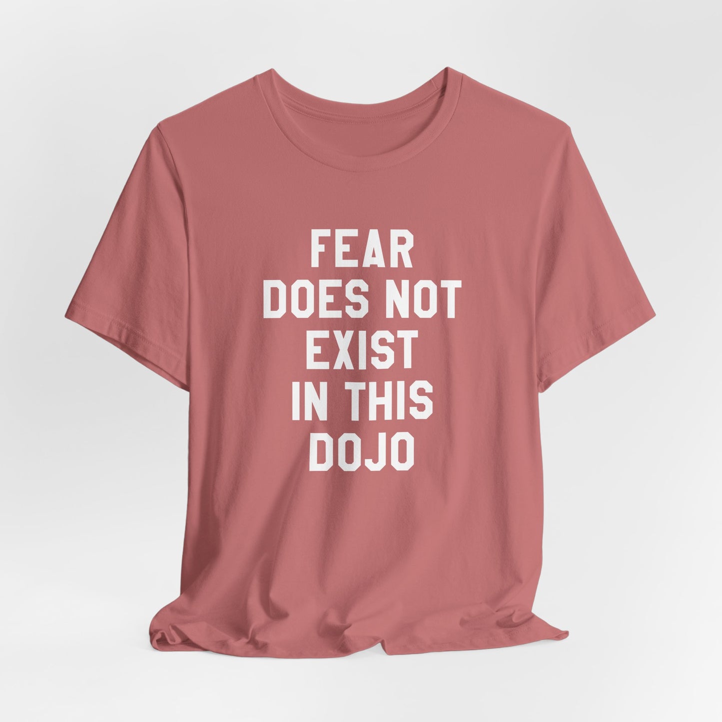 Fear Does Not Exist in This Dojo Karate Kid/Cobra Kai T-Shirt
