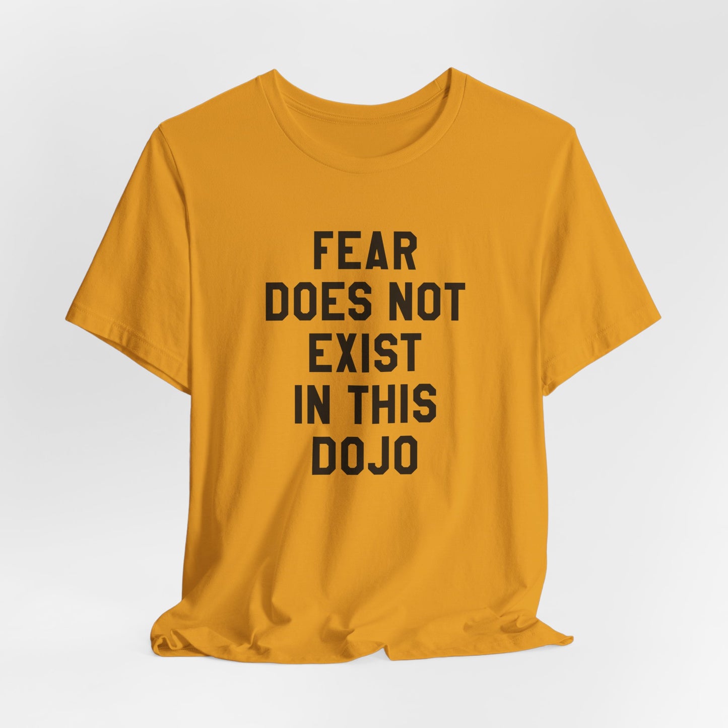 Fear Does Not Exist in This Dojo Karate Kid/Cobra Kai T-Shirt